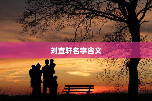 刘宜轩名字含义