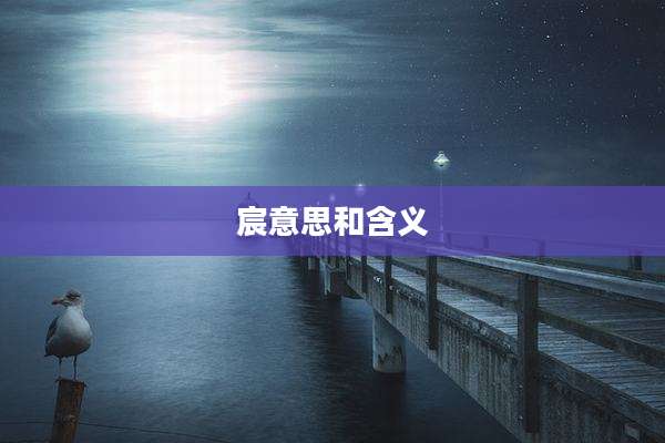 宸意思和含义