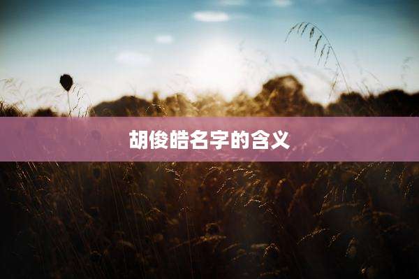 胡俊皓名字的含义