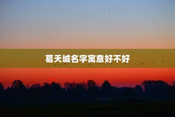 葛天城名字寓意好不好