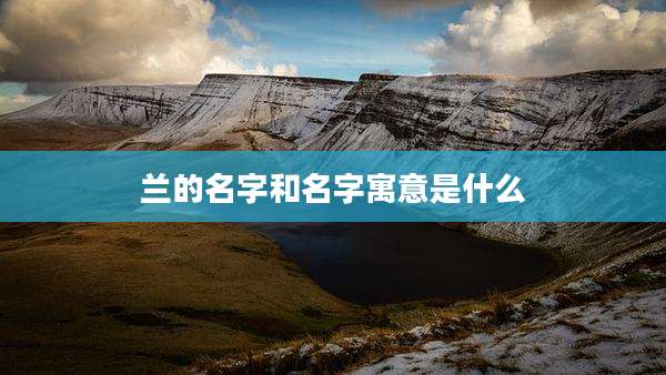 兰的名字和名字寓意是什么