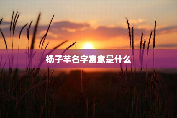 杨子芊名字寓意是什么