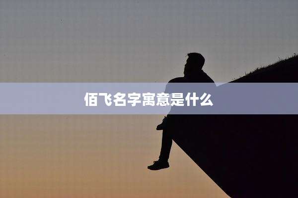 佰飞名字寓意是什么