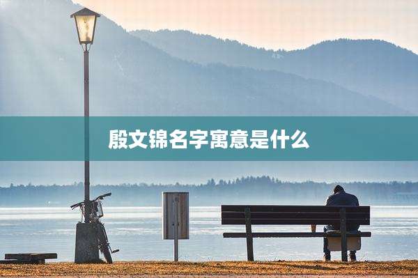 殷文锦名字寓意是什么