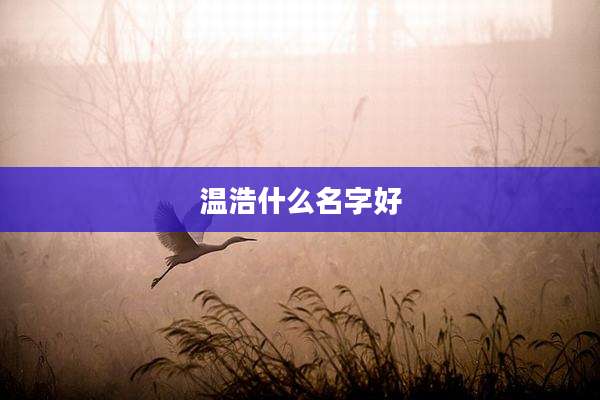 温浩什么名字好