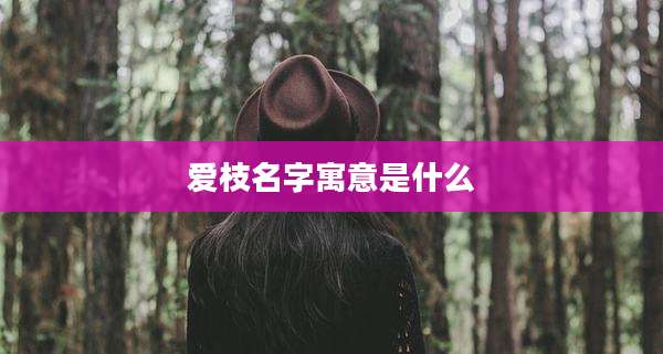 爱枝名字寓意是什么
