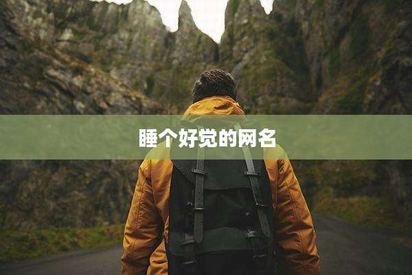 睡个好觉的网名