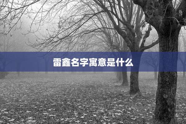雷鑫名字寓意是什么