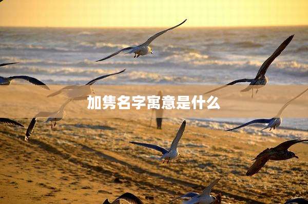 加隽名字寓意是什么