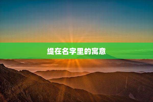 缇在名字里的寓意