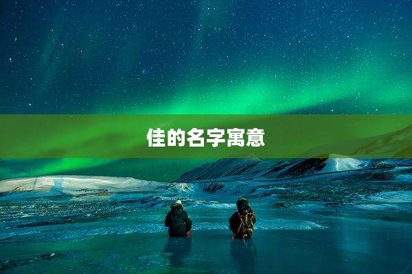 佳的名字寓意