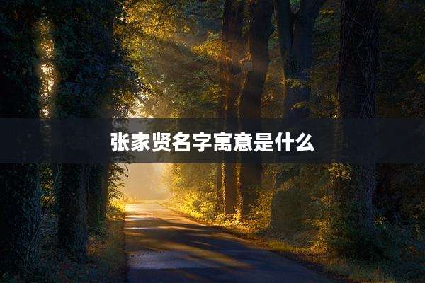 张家贤名字寓意是什么