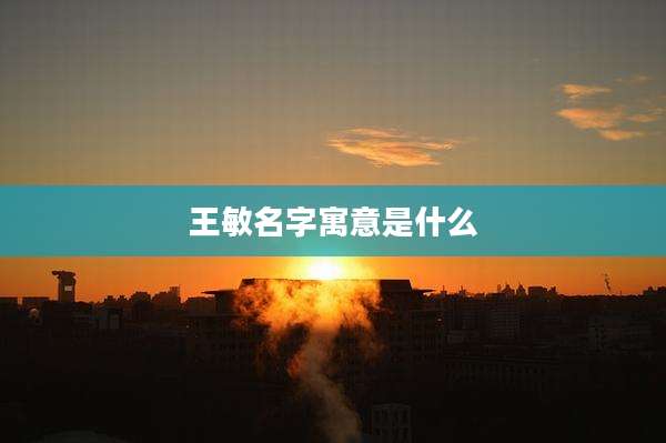 王敏名字寓意是什么