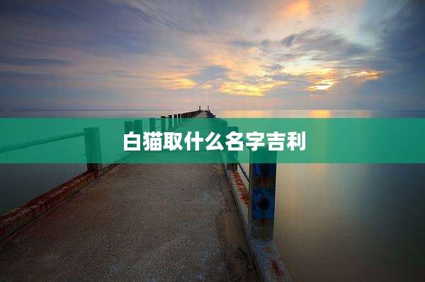 白猫取什么名字吉利