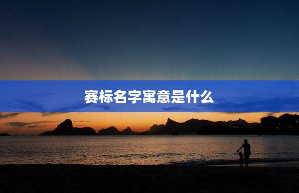 赛标名字寓意是什么