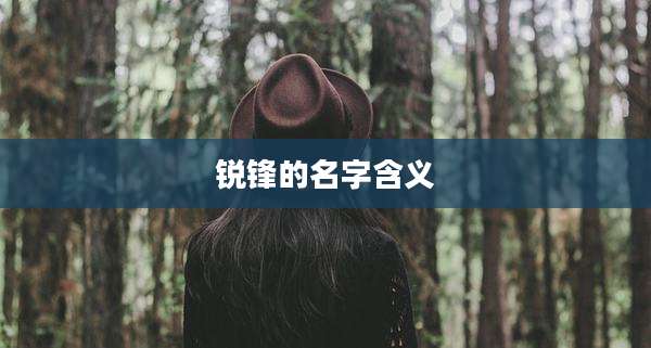 锐锋的名字含义