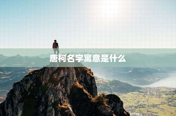 唐柯名字寓意是什么