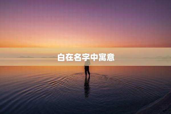 白在名字中寓意