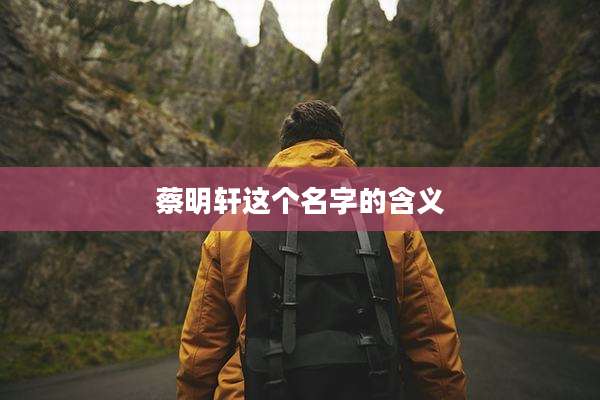 蔡明轩这个名字的含义