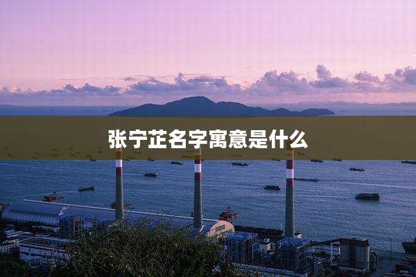 张宁芷名字寓意是什么