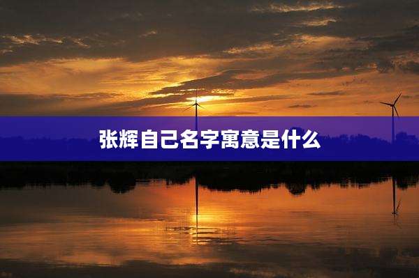 张辉自己名字寓意是什么