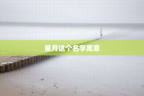 星月这个名字寓意