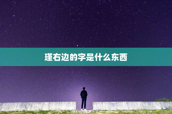 瑾右边的字是什么东西