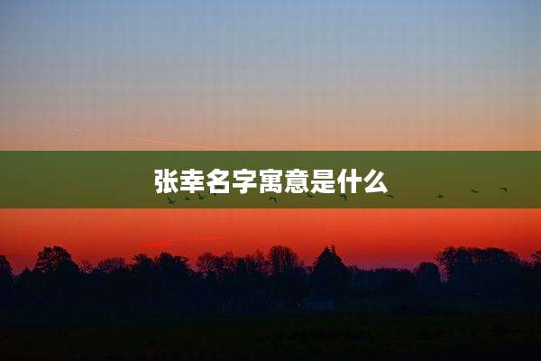 张幸名字寓意是什么