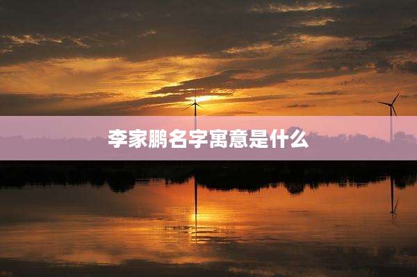 李家鹏名字寓意是什么