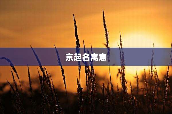 京起名寓意