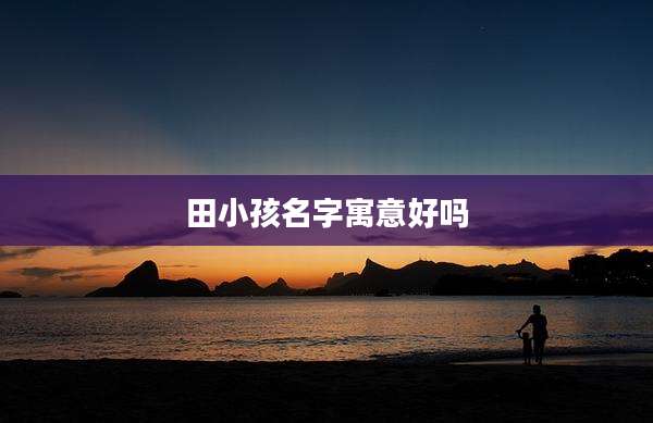 田小孩名字寓意好吗