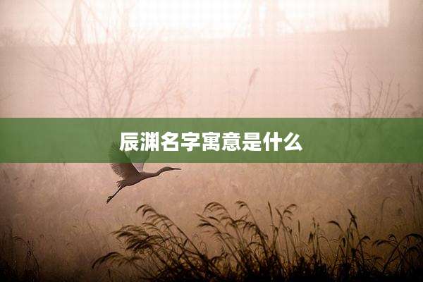 辰渊名字寓意是什么