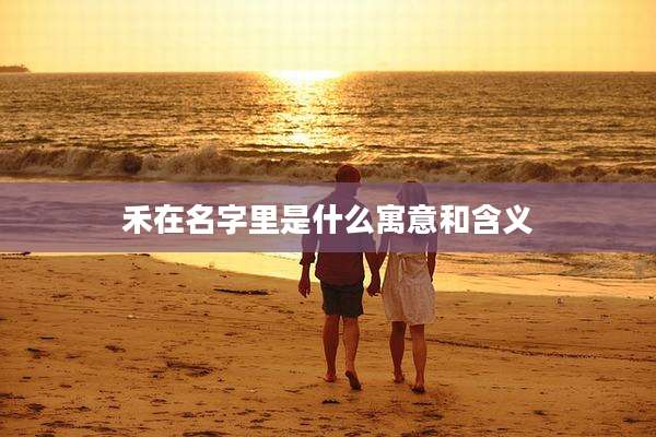 禾在名字里是什么寓意和含义