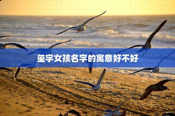 玺字女孩名字的寓意好不好