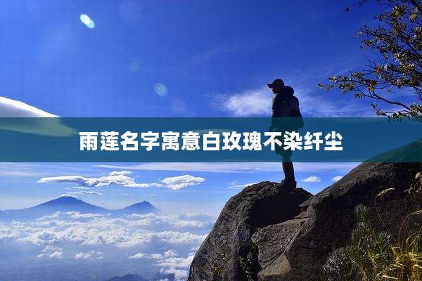 雨莲名字寓意白玫瑰不染纤尘