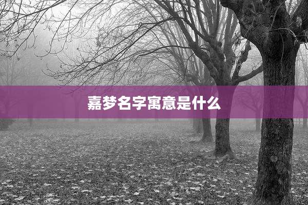嘉梦名字寓意是什么