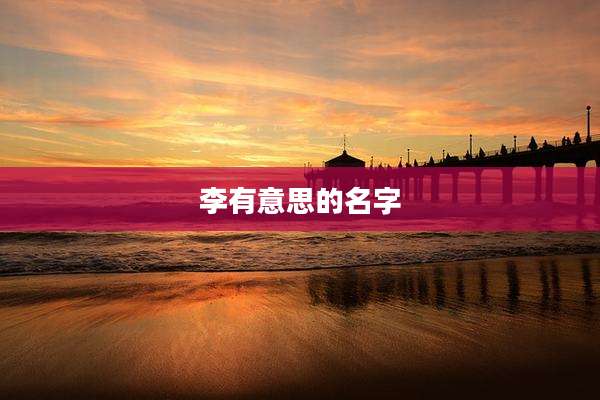 李有意思的名字
