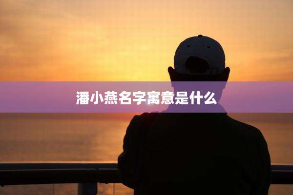 潘小燕名字寓意是什么