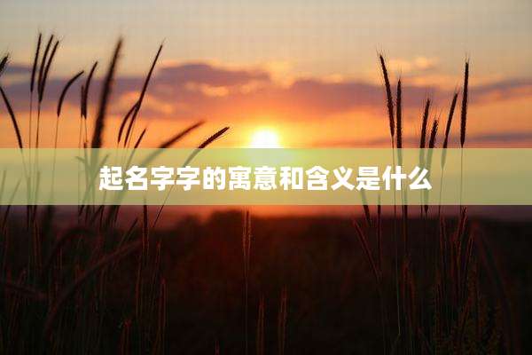 起名字字的寓意和含义是什么