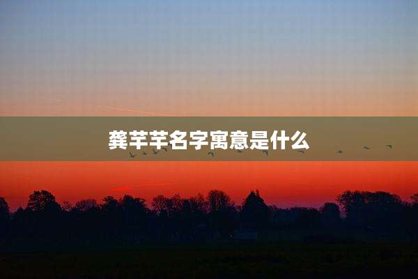 龚芊芊名字寓意是什么