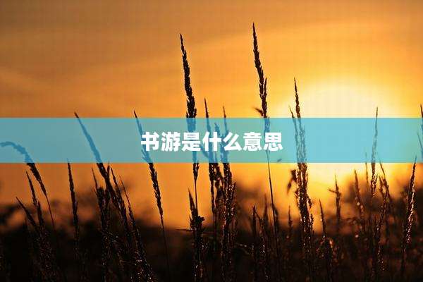 书游是什么意思