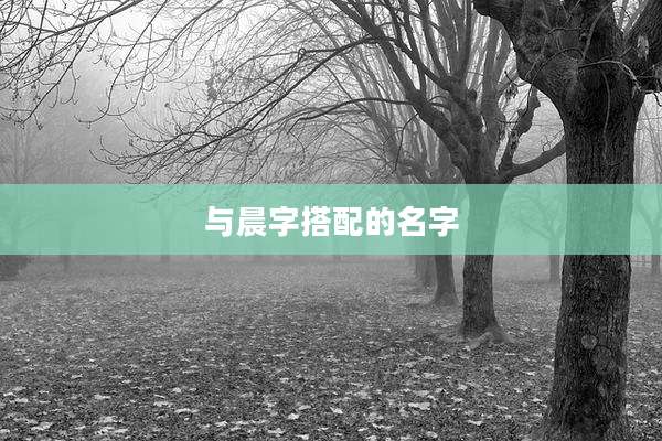 与晨字搭配的名字