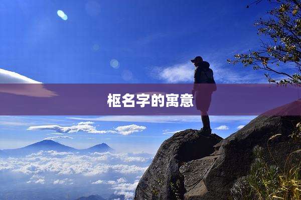 枢名字的寓意
