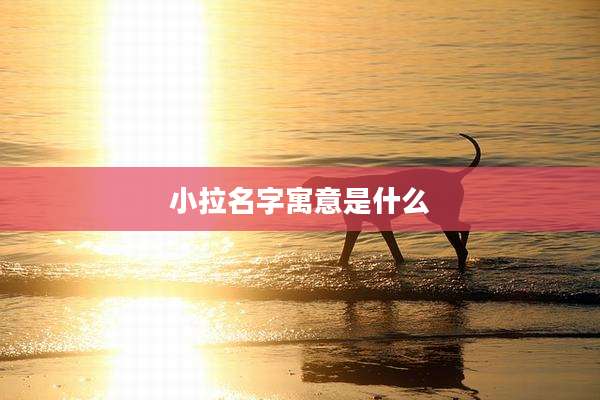 小拉名字寓意是什么