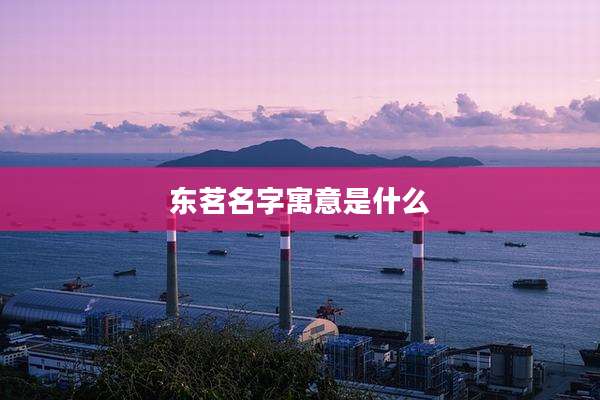 东茗名字寓意是什么
