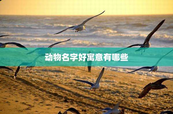 动物名字好寓意有哪些