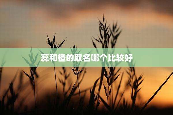 蕊和橙的取名哪个比较好