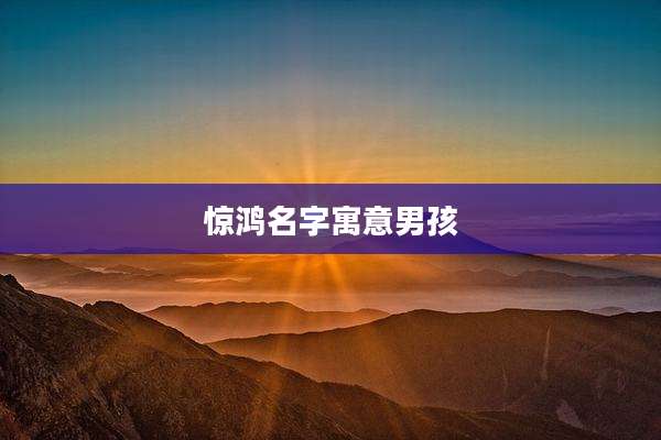惊鸿名字寓意男孩