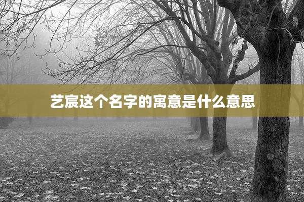 艺宸这个名字的寓意是什么意思