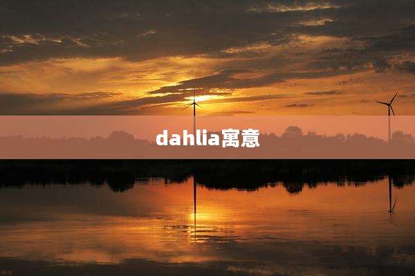 dahlia寓意